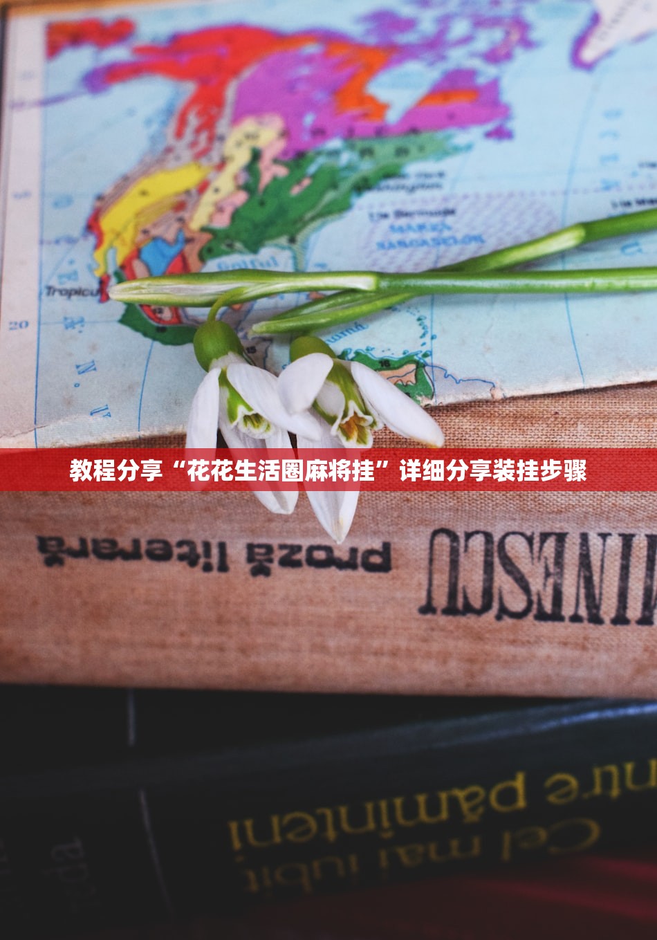 教程分享“花花生活圈麻将挂	”详细分享装挂步骤
