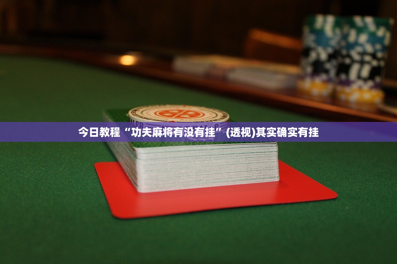 教程辅助!“友友联盟开挂视频”详细分享装挂步骤