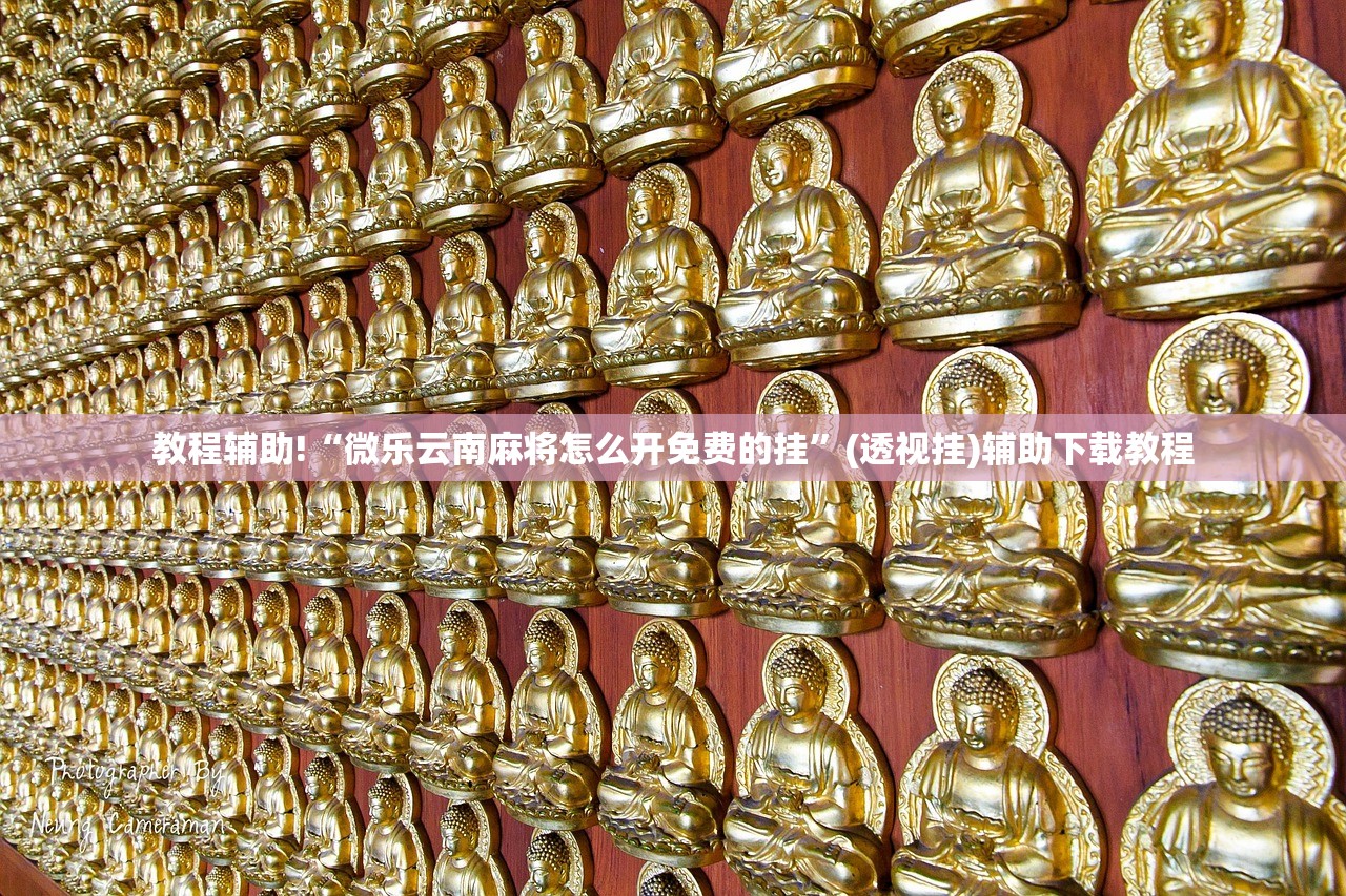 教程辅助!“微乐云南麻将怎么开免费的挂	”(透视挂)辅助下载教程