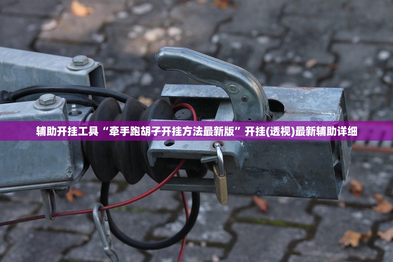 教程辅助!中至抚州麻将开挂辅助器通用版”开挂辅助脚本+详细开挂安装教程