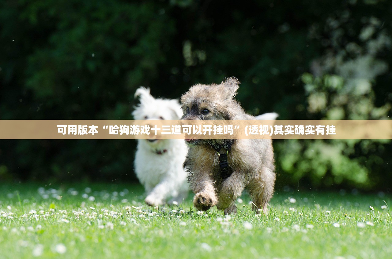 可用版本“哈狗游戏十三道可以开挂吗”(透视)其实确实有挂