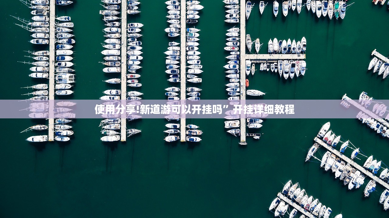 使用分享!新道游可以开挂吗	”开挂详细教程