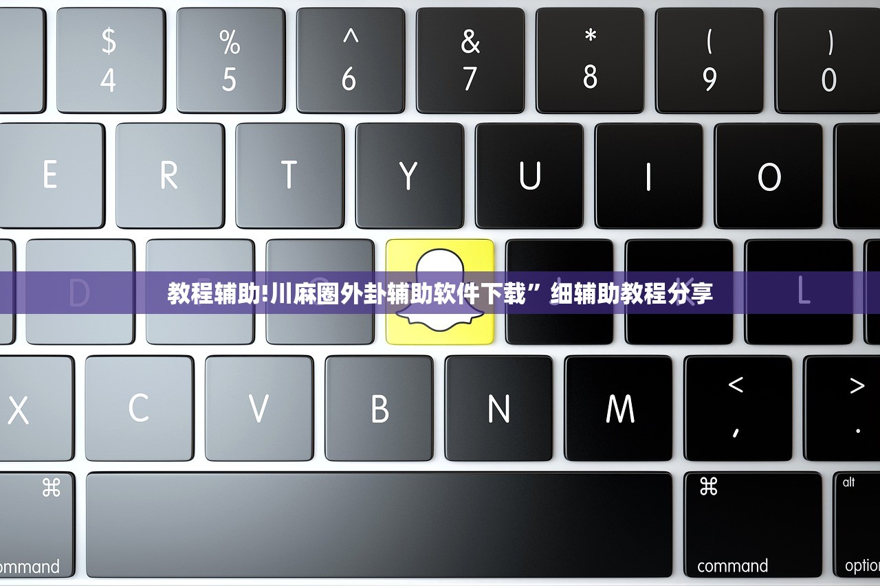 教程辅助!川麻圈外卦辅助软件下载”细辅助教程分享