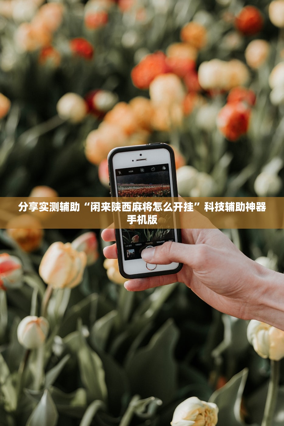 分享实测辅助“闲来陕西麻将怎么开挂”科技辅助神器手机版