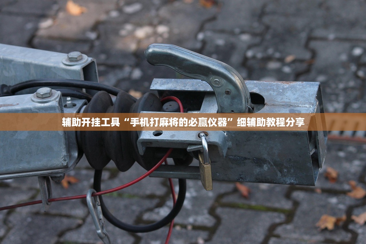 辅助开挂工具“手机打麻将的必赢仪器	”细辅助教程分享