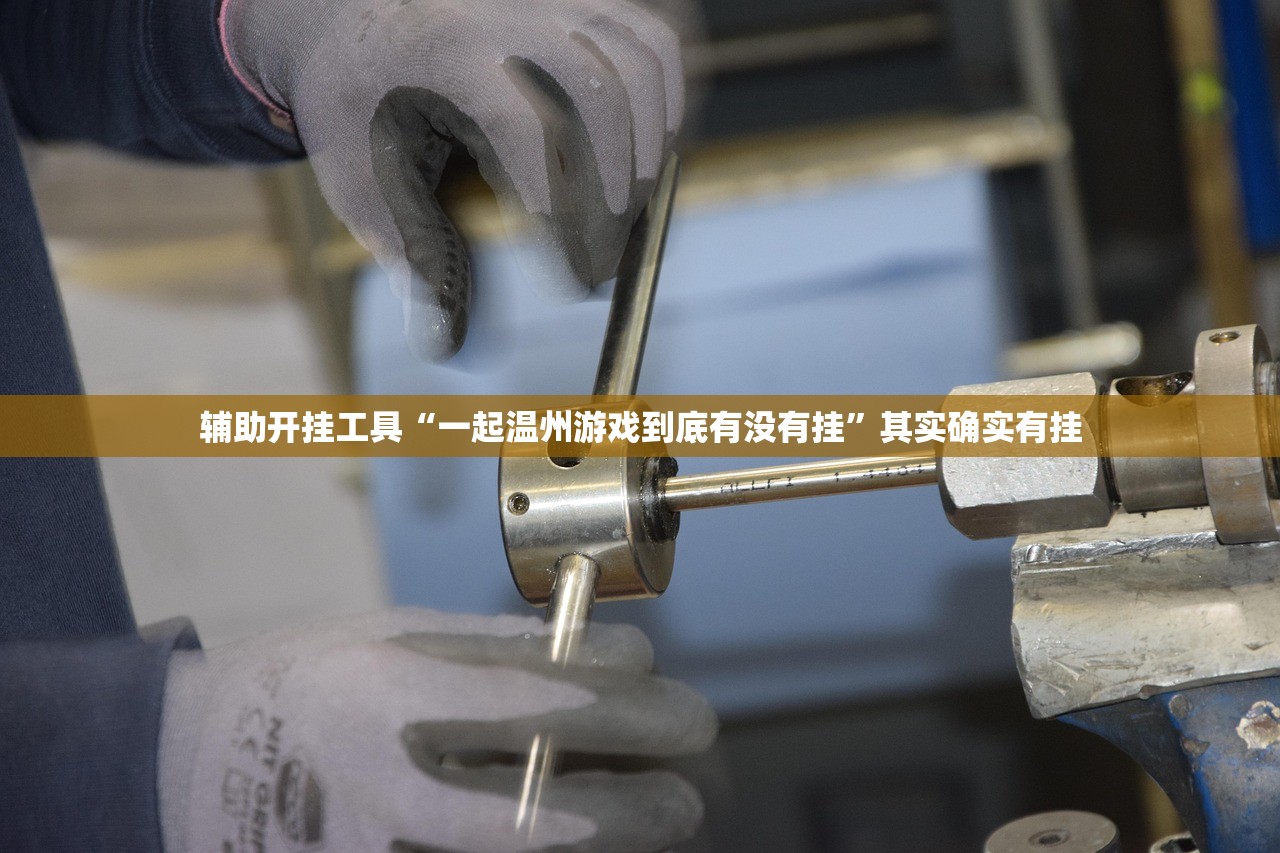 辅助开挂工具“一起温州游戏到底有没有挂”其实确实有挂