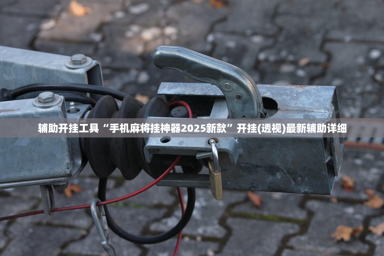 辅助开挂工具“手机麻将挂神器2025新款”开挂(透视)最新辅助详细