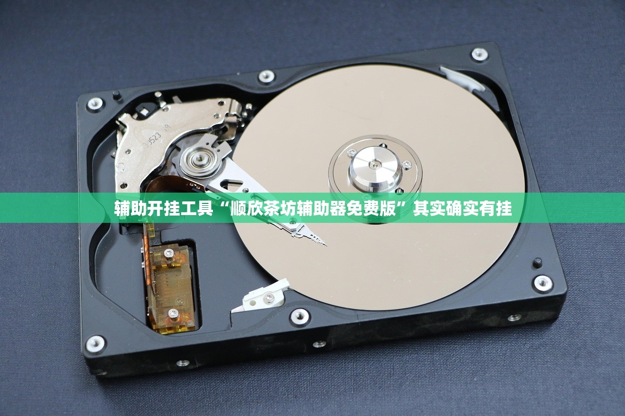 辅助开挂工具“顺欣茶坊辅助器免费版	”其实确实有挂