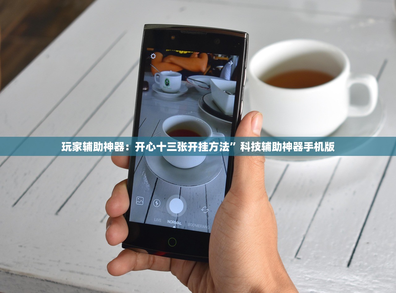 一键必胜“喜扣跑胡子开挂辅助器”开挂详细教程