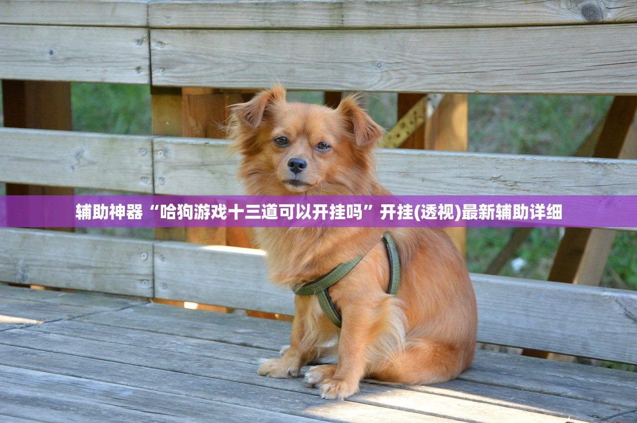 辅助神器“哈狗游戏十三道可以开挂吗	”开挂(透视)最新辅助详细