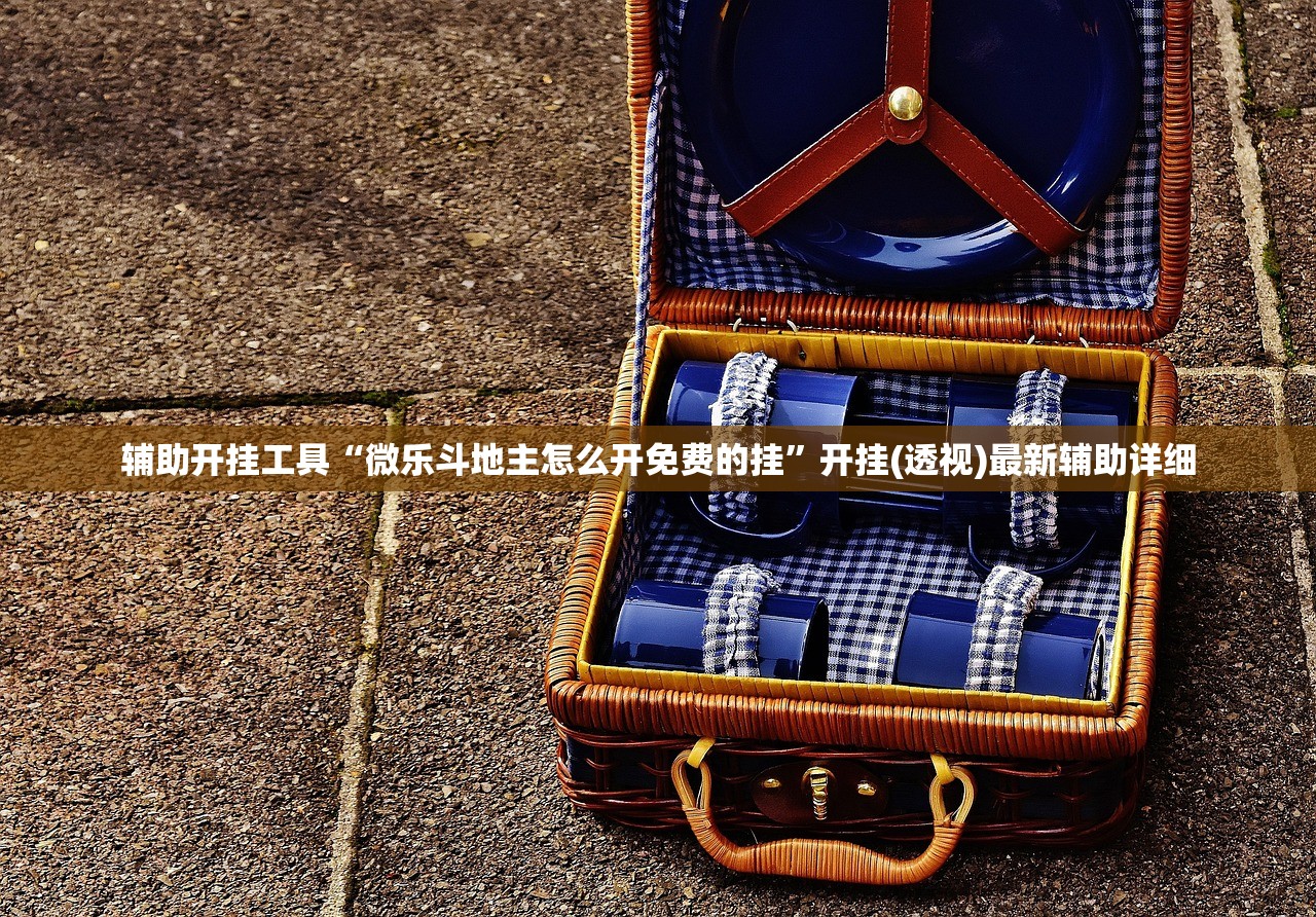 辅助开挂工具“微乐斗地主怎么开免费的挂”开挂(透视)最新辅助详细