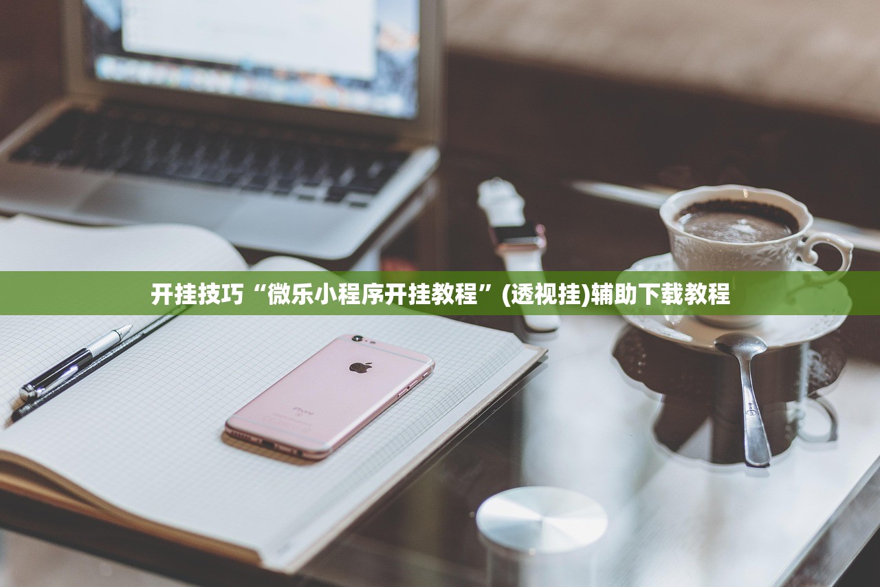 开挂技巧“微乐小程序开挂教程”(透视挂)辅助下载教程