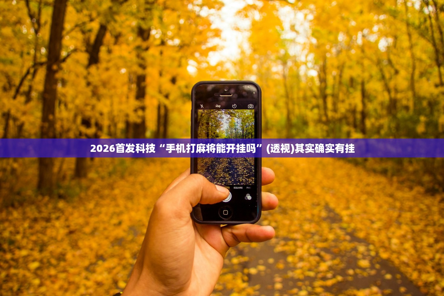 2026首发科技“手机打麻将能开挂吗”(透视)其实确实有挂