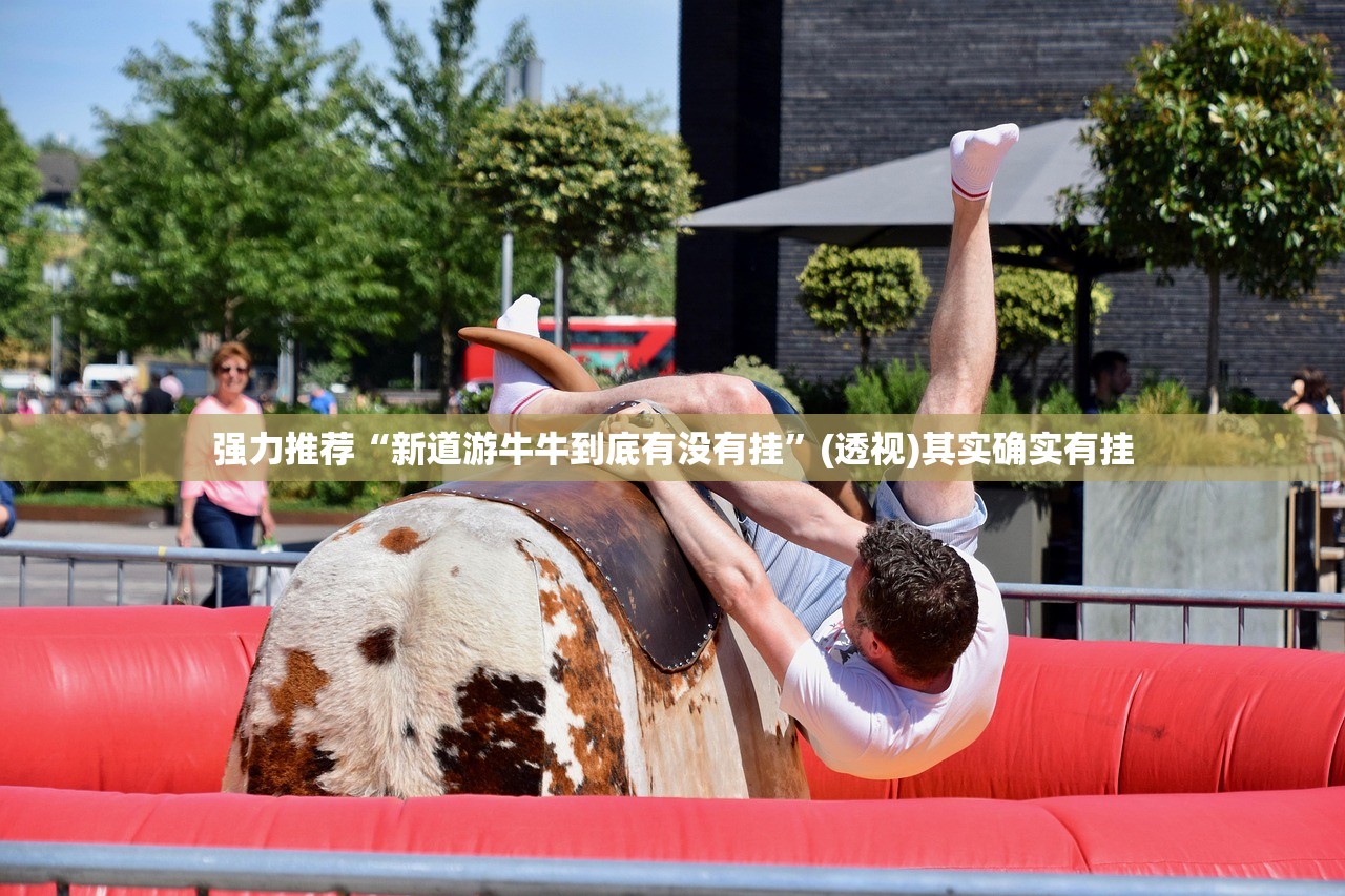 软件分享“手机十三水开挂”开挂(透视)辅助神器
