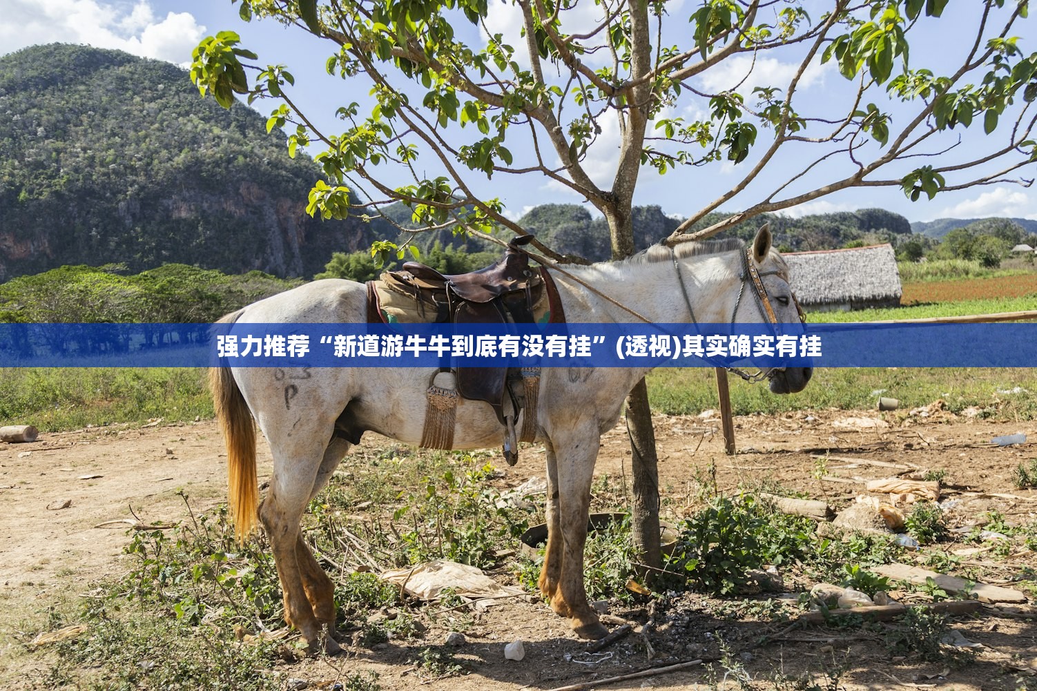 强力推荐“新道游牛牛到底有没有挂	”(透视)其实确实有挂