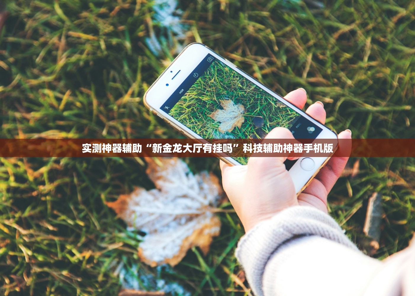 实测神器辅助“新金龙大厅有挂吗”科技辅助神器手机版