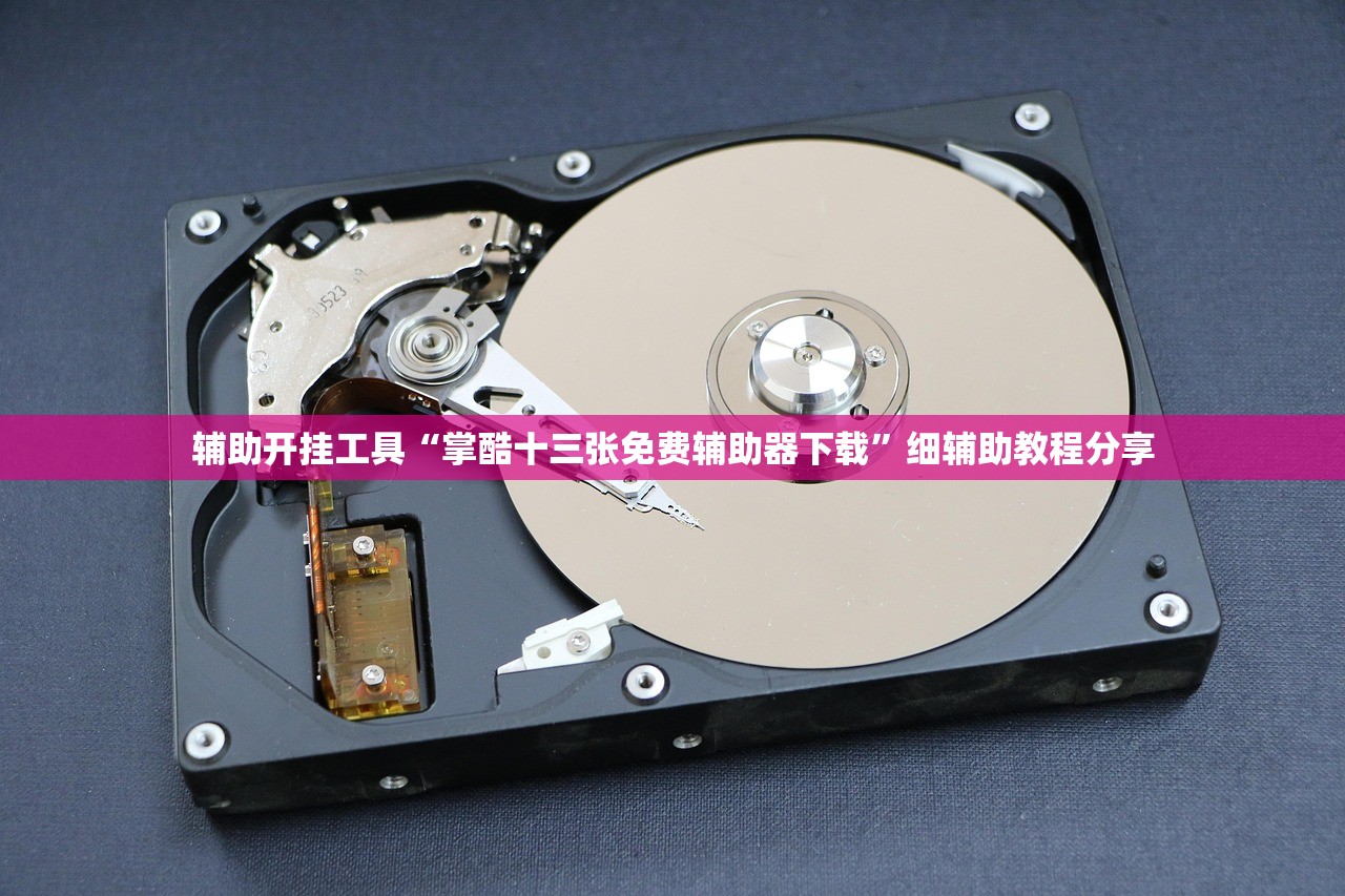 辅助开挂工具“掌酷十三张免费辅助器下载”细辅助教程分享