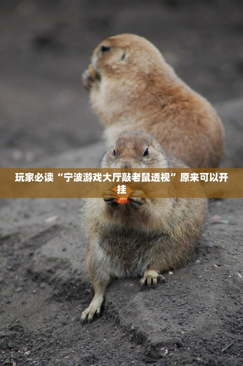 2026首发科技“微乐广东麻将开挂神器下载”原来可以开挂