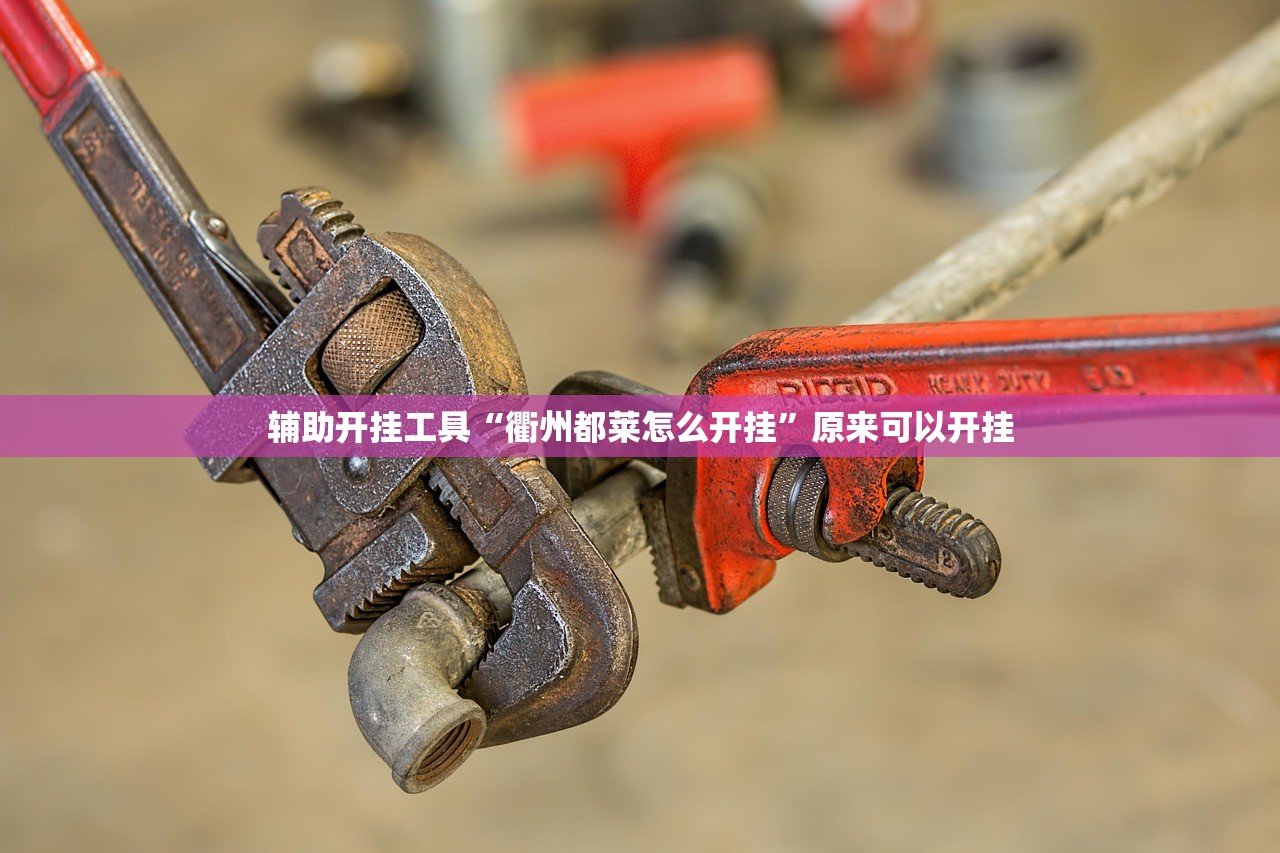 辅助开挂工具“衢州都莱怎么开挂”原来可以开挂