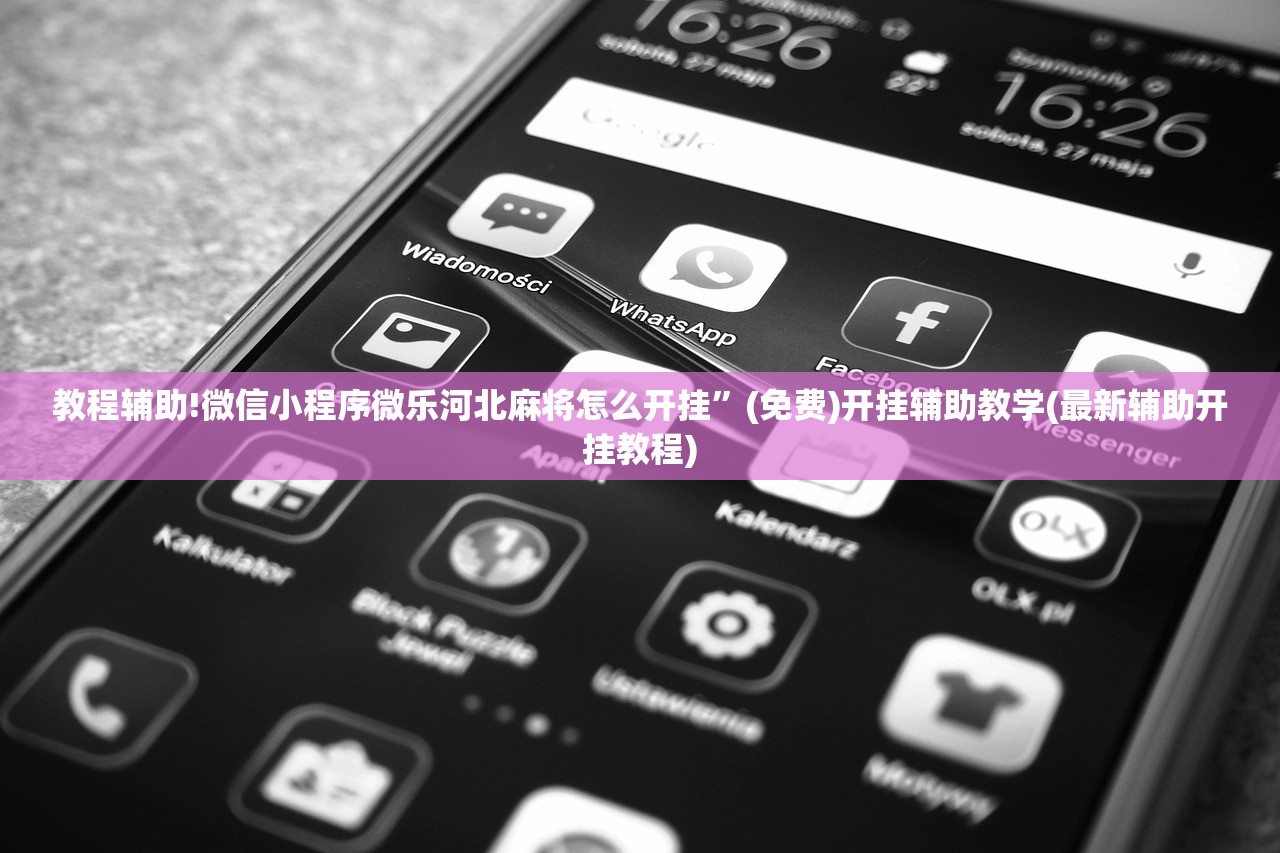 辅助神器“哈灵麻将记牌器通用版免费”详细开挂教程