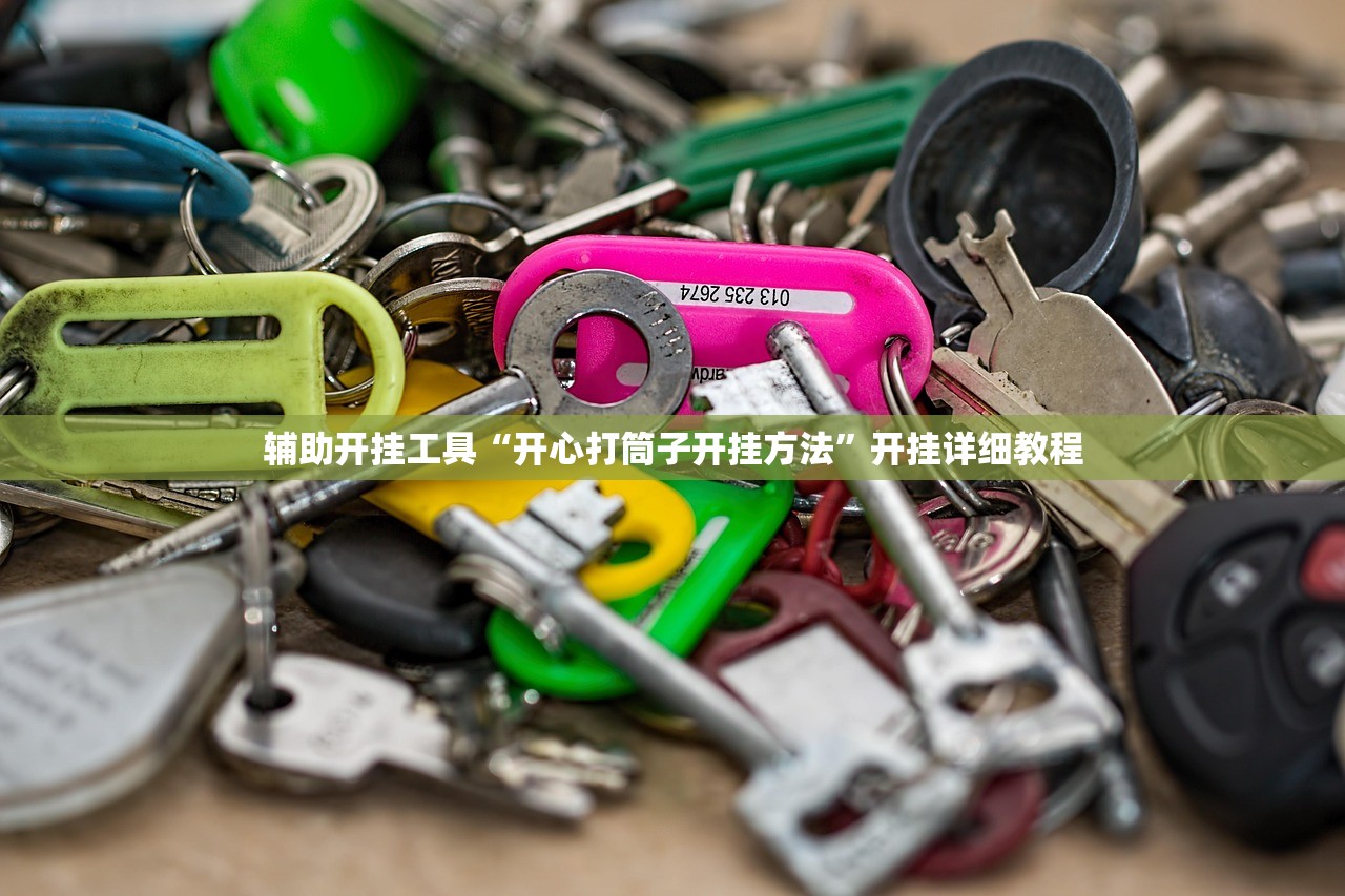 教程更新!：老铁联盟辅助器”细辅助教程分享