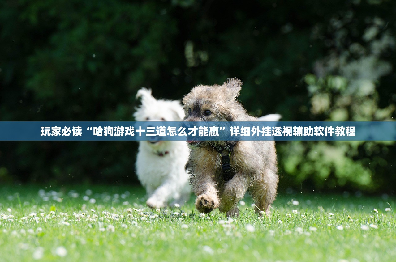 【31省区市新增确诊病例6例,31省市新增确诊病例54例】