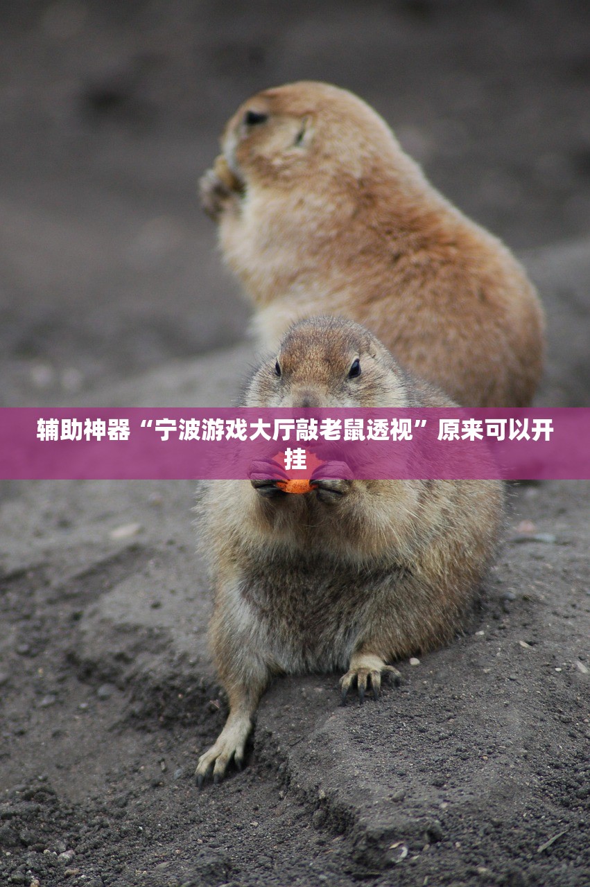 教程辅助!“九九麻将可以开挂吗？”开挂辅助脚本+详细开挂安装教程