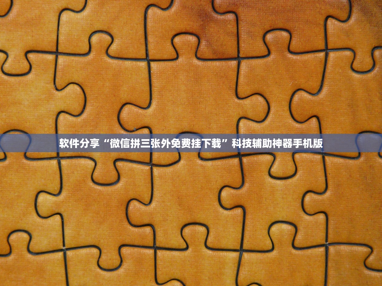 软件分享“微信拼三张外免费挂下载”科技辅助神器手机版
