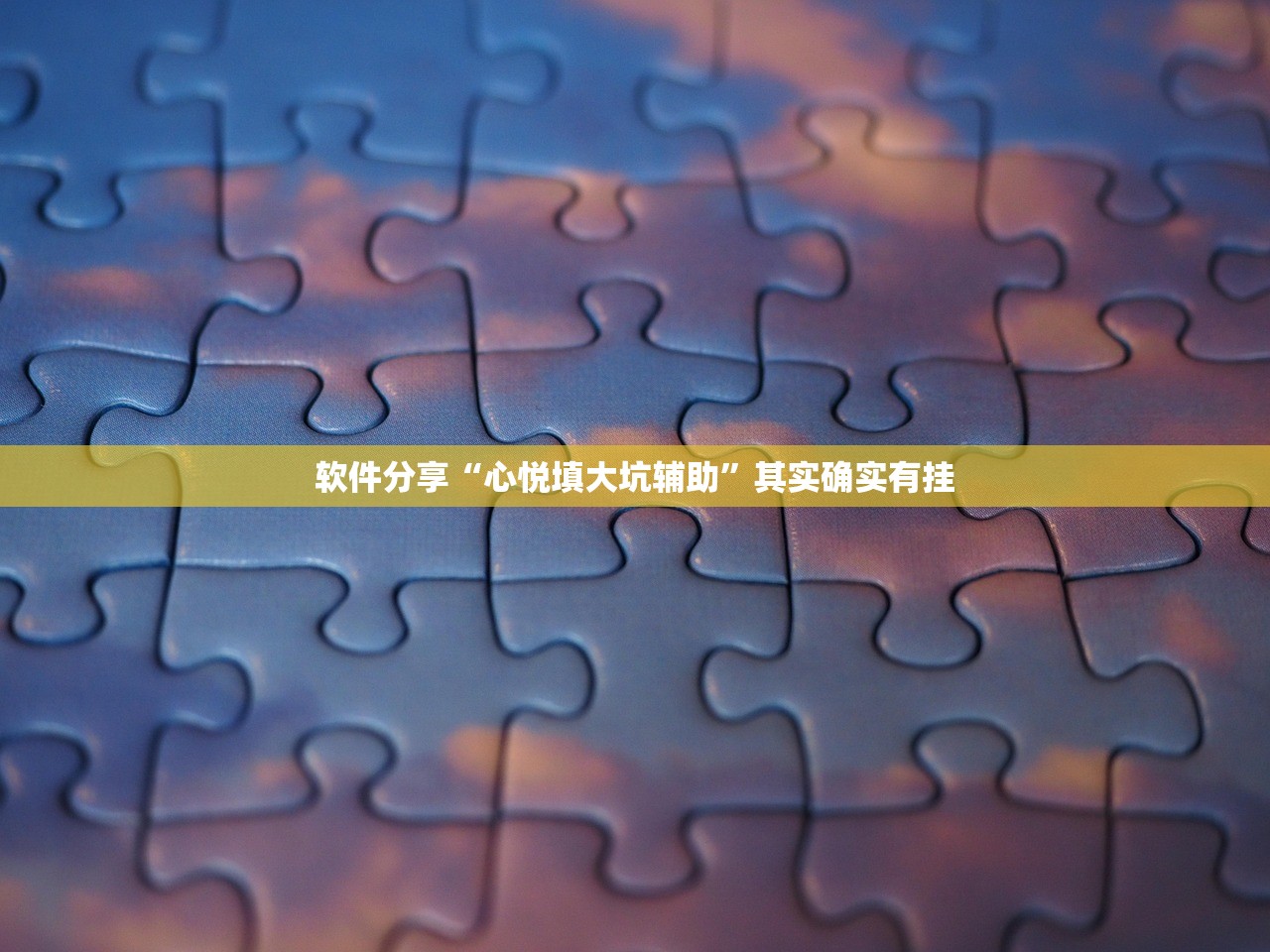 软件分享“心悦填大坑辅助”其实确实有挂