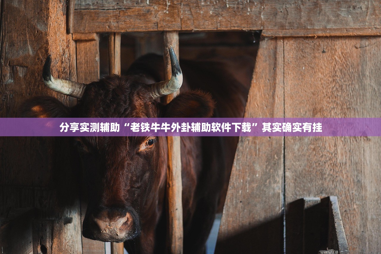 31省区市新增1例境外输入病例:31省区市新增1例境外输入