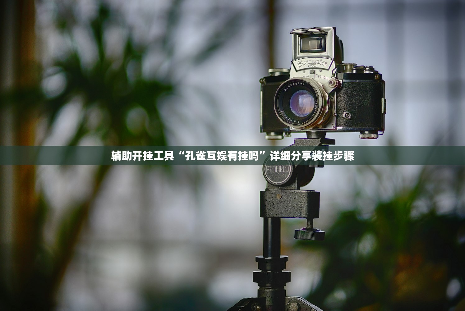 辅助神器“微乐天津麻将挂软件”细辅助教程分享
