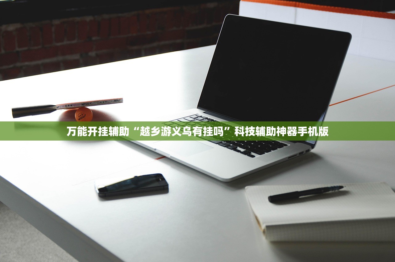 实测神器辅助“手机跑胡子开挂辅助器通用版(透视)”开挂辅助脚本+详细开挂安装教程