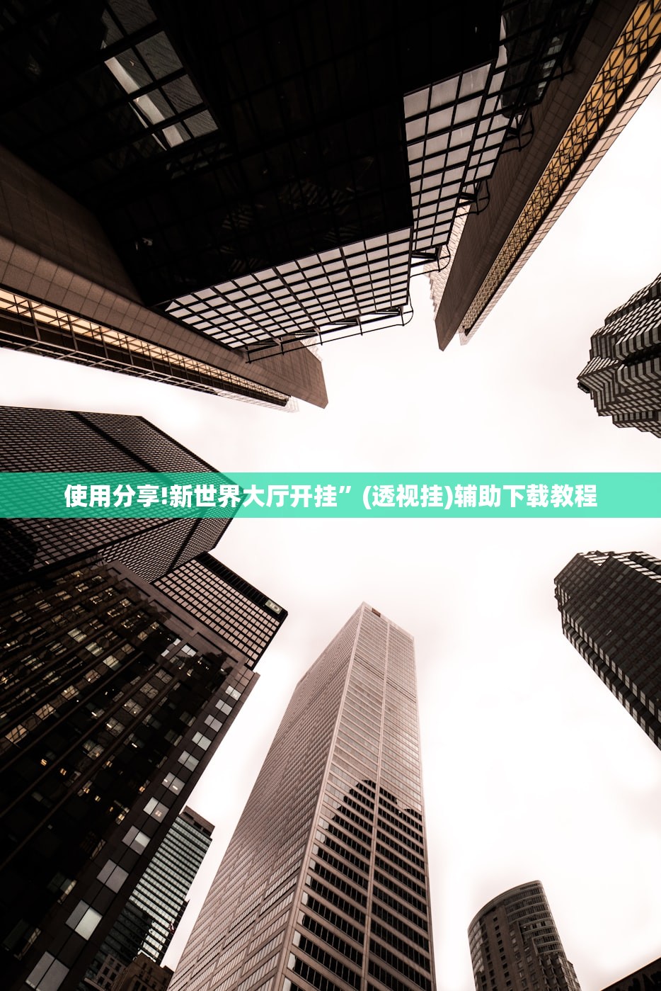 可用版本“微乐陕西三带开挂”细辅助教程分享