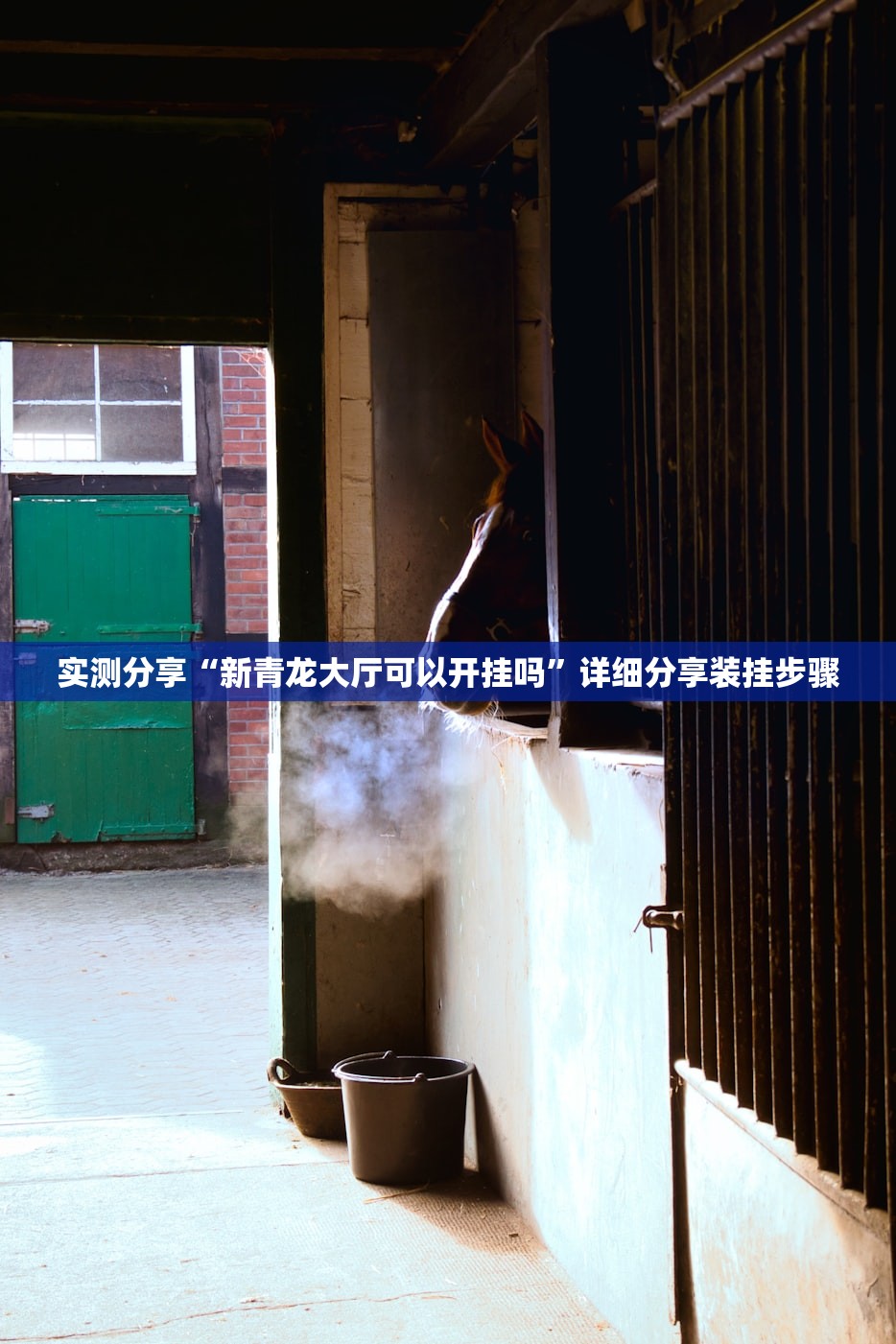实测分享“新青龙大厅可以开挂吗	”详细分享装挂步骤
