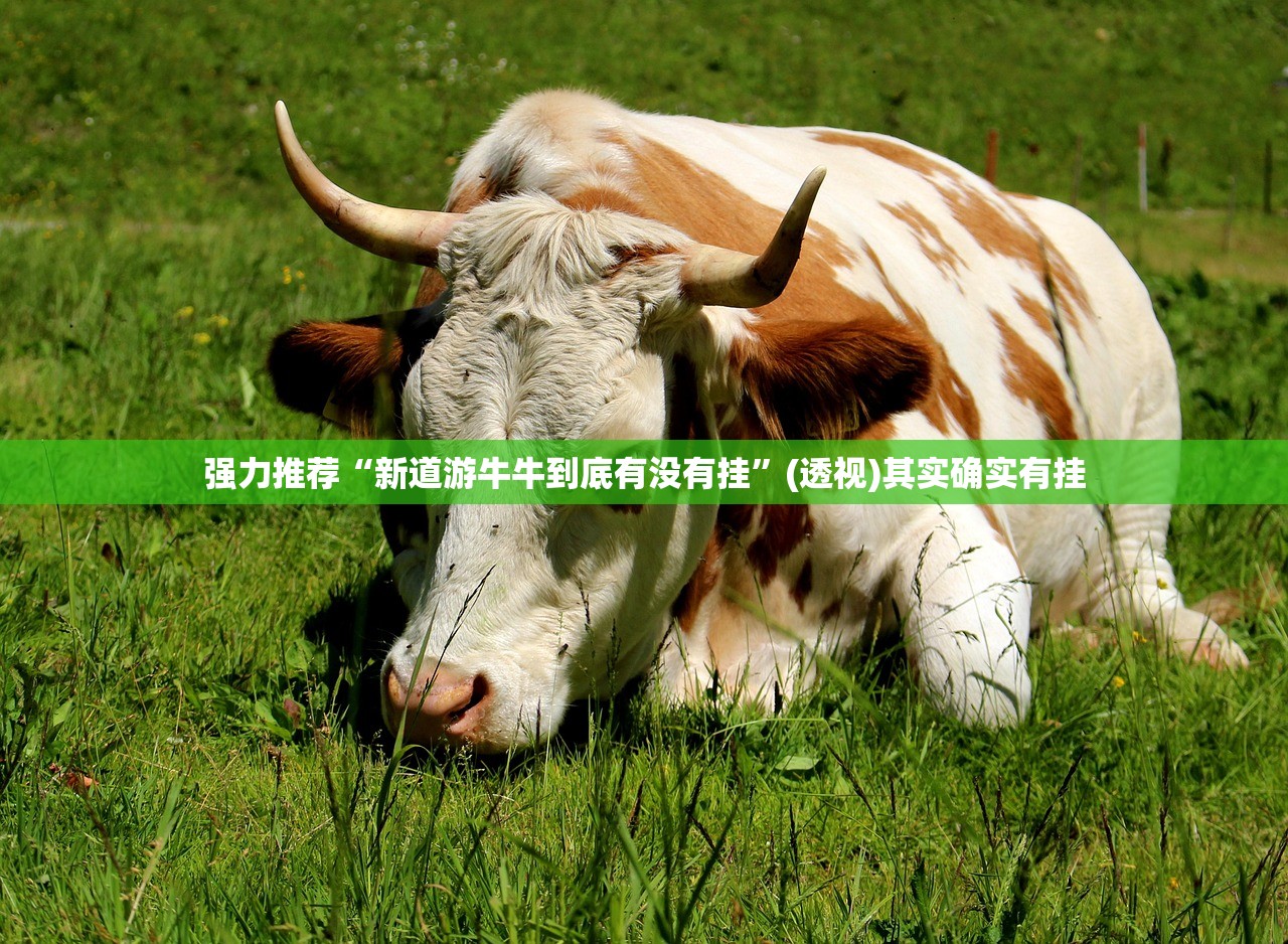 强力推荐“新道游牛牛到底有没有挂”(透视)其实确实有挂