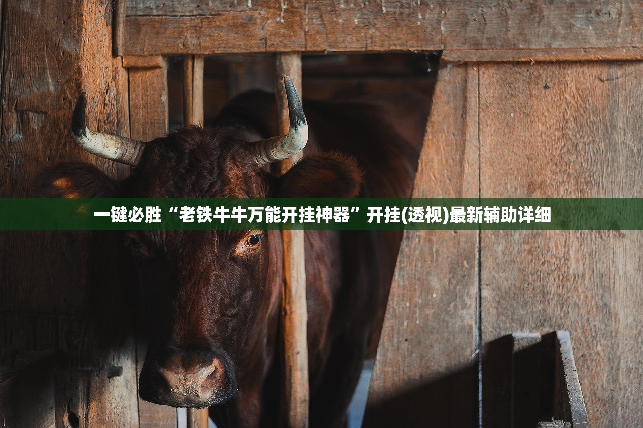 一键必胜“越乡游义乌开挂辅助器通用版”开挂详细教程