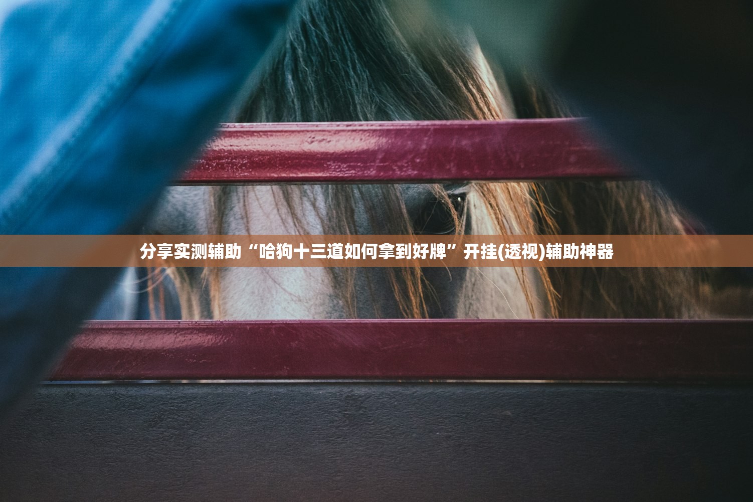 开挂辅助工具“手机麻将机程序控牌器怎么安装”(辅助神器)开挂详细教程