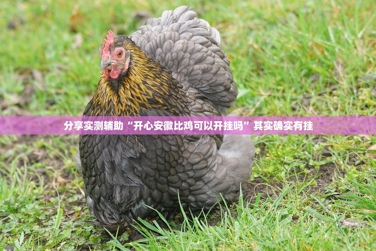 分享实测辅助“开心安徽比鸡可以开挂吗”其实确实有挂