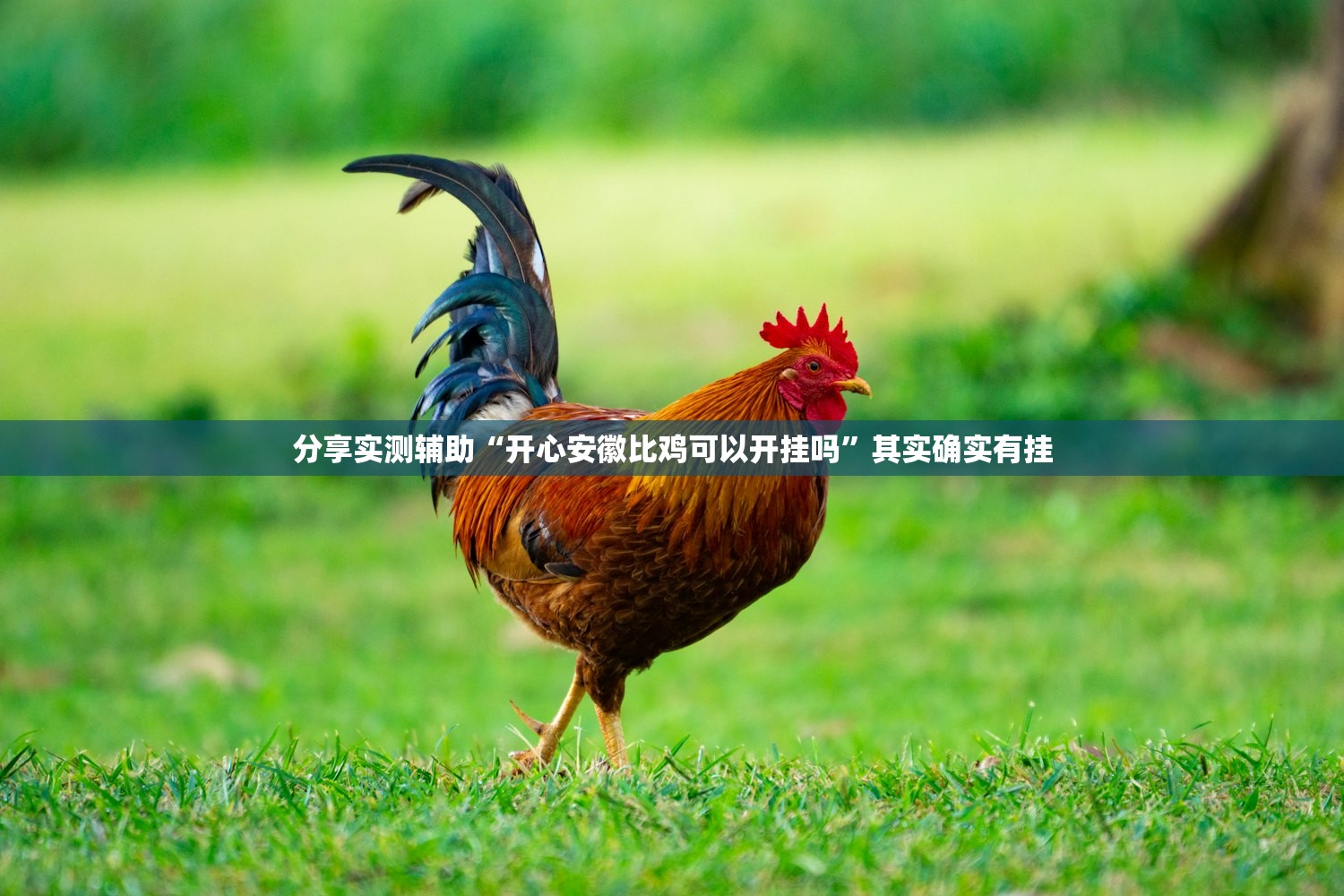 分享实测辅助“开心安徽比鸡可以开挂吗”其实确实有挂