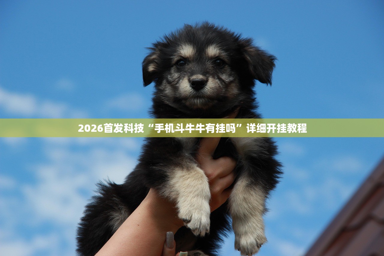 【柴油车有哪些车型/柴油车有哪些车型家用车】