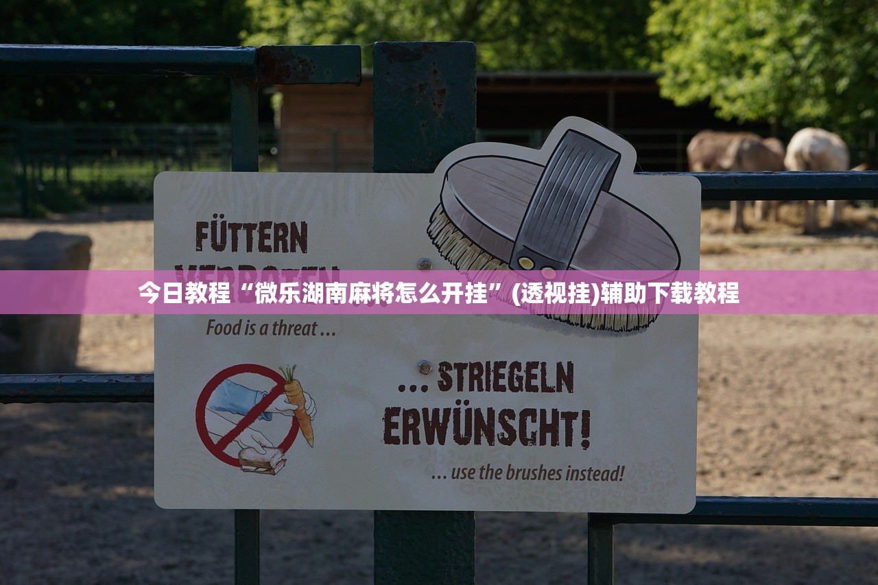 分享实测辅助“微乐广东麻将小程序开挂神器”2026开挂教程步骤