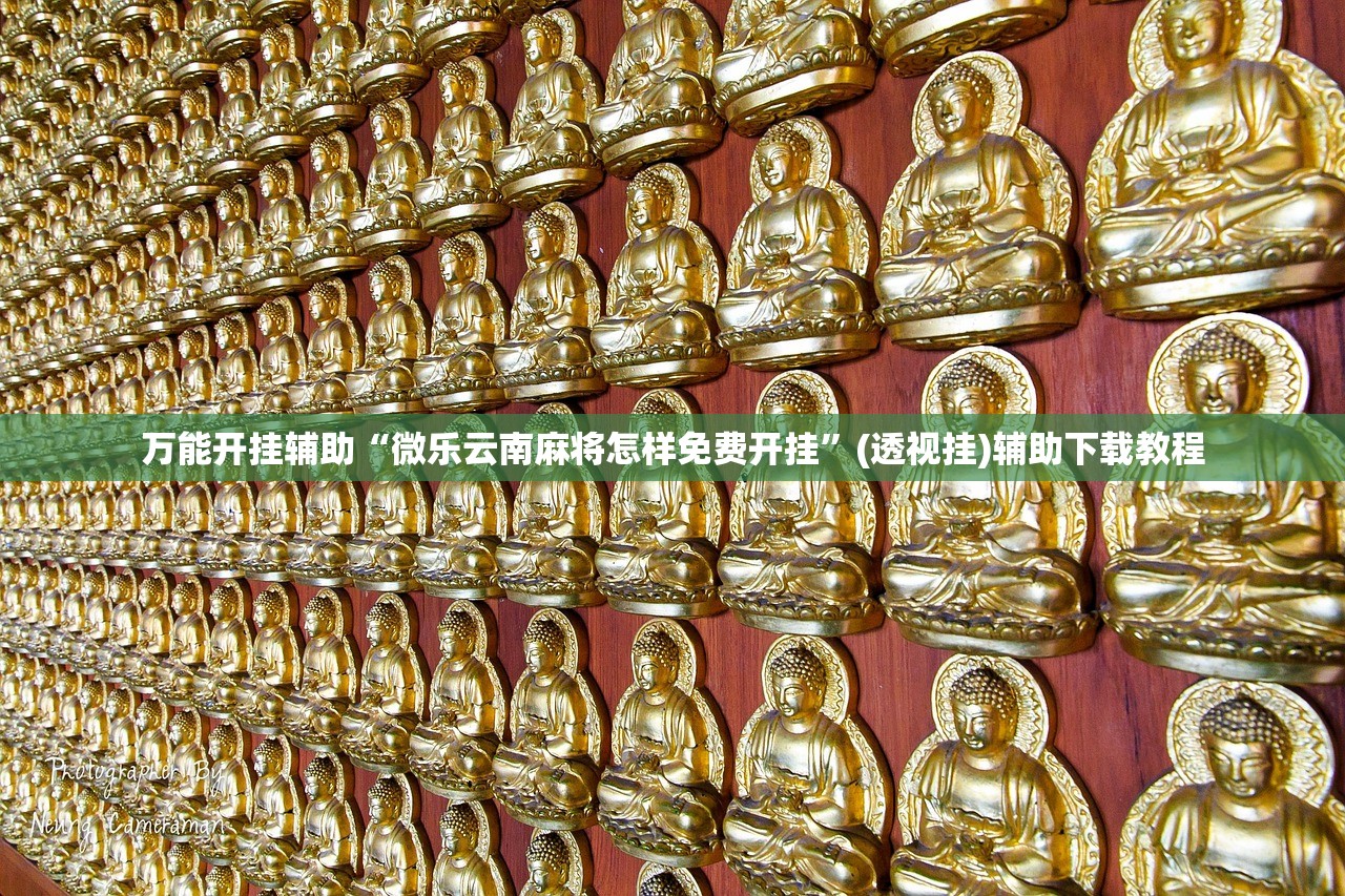 万能开挂辅助“微乐云南麻将怎样免费开挂”(透视挂)辅助下载教程