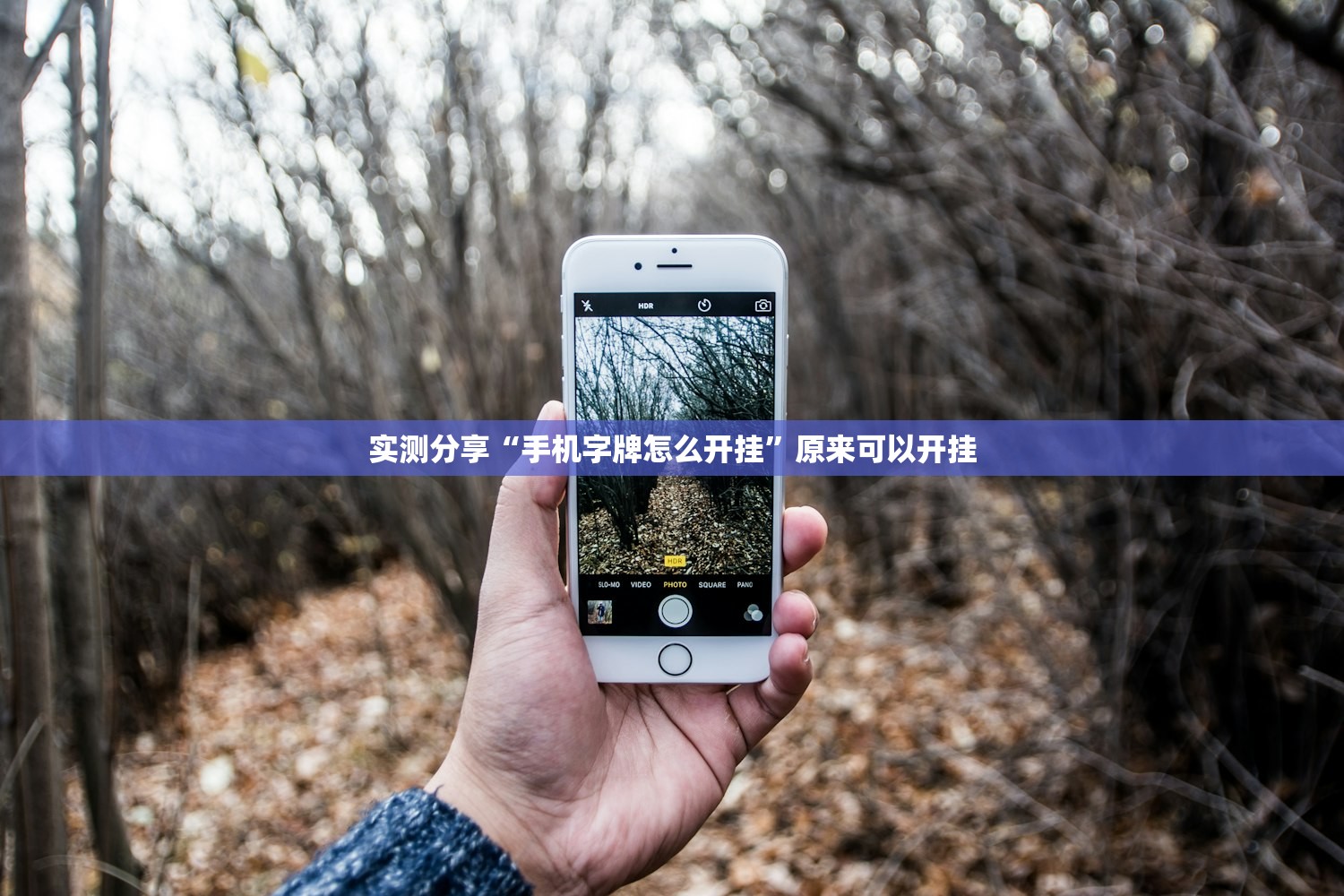 实测分享“手机字牌怎么开挂”原来可以开挂