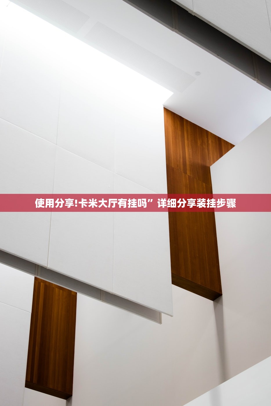 使用分享!卡米大厅有挂吗”详细分享装挂步骤