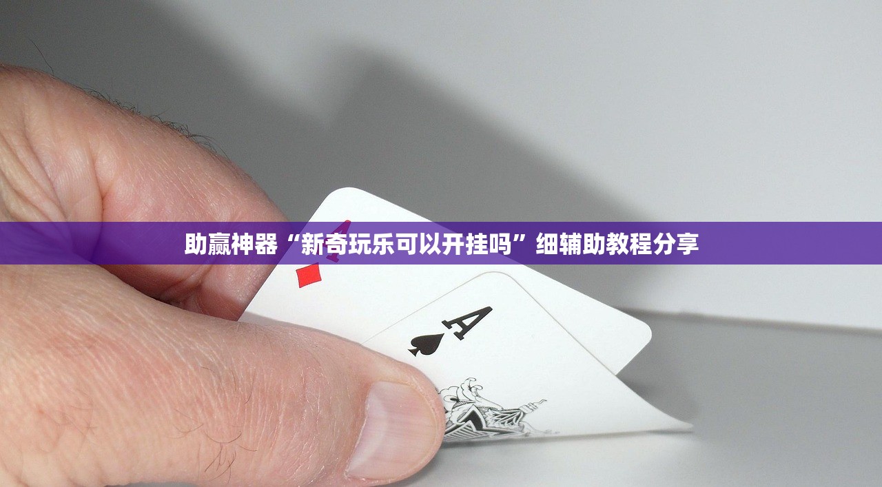 助赢神器“新奇玩乐可以开挂吗”细辅助教程分享