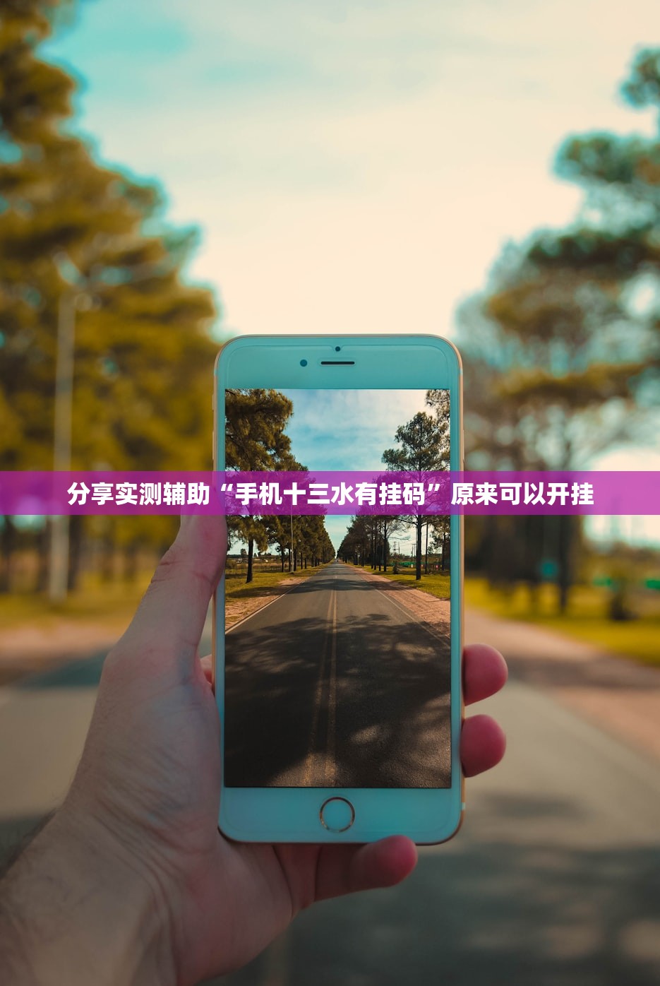 分享实测辅助“手机十三水有挂码”原来可以开挂