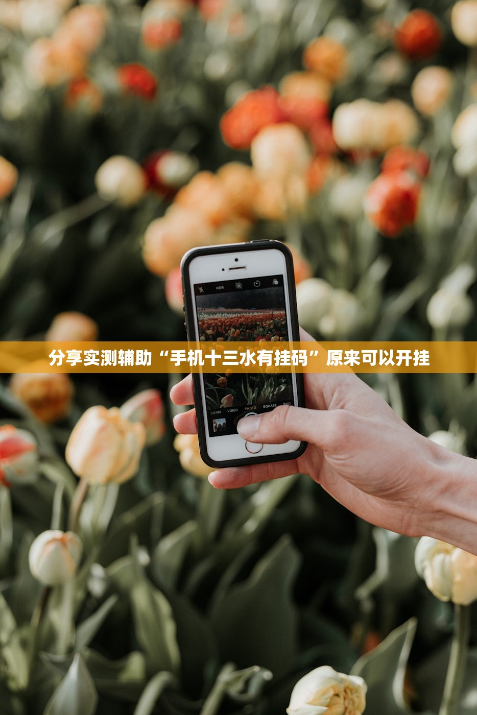 【泸西疫情最新消息/泸西县最新消息】