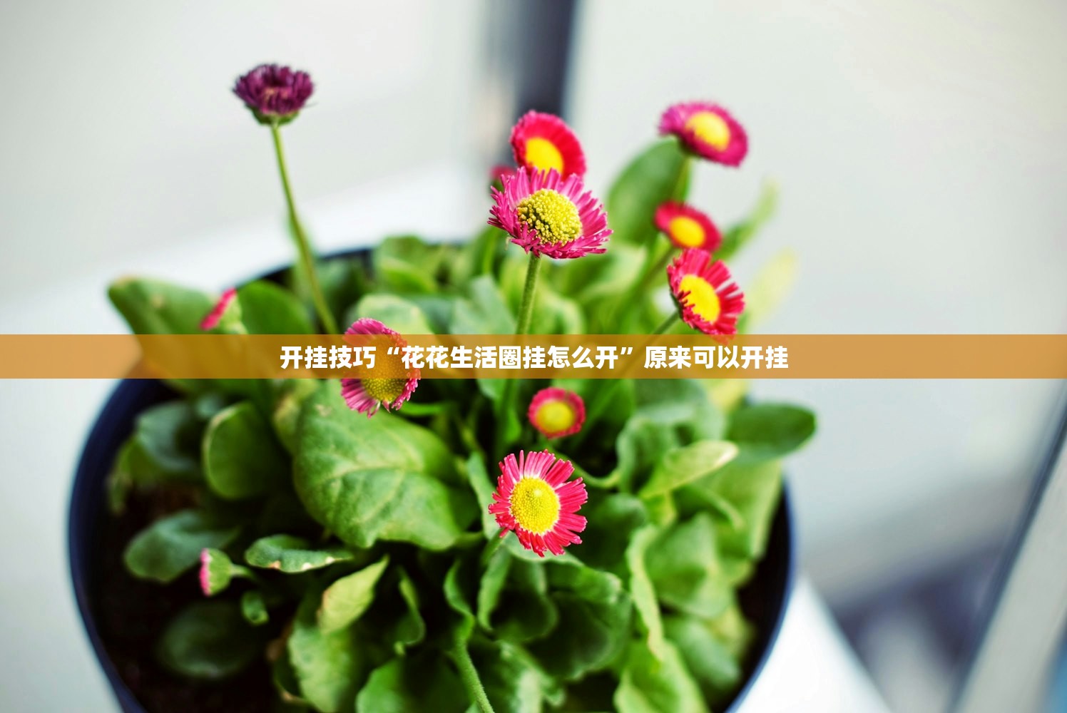 北京限行规则/北京限行规则具体有哪些